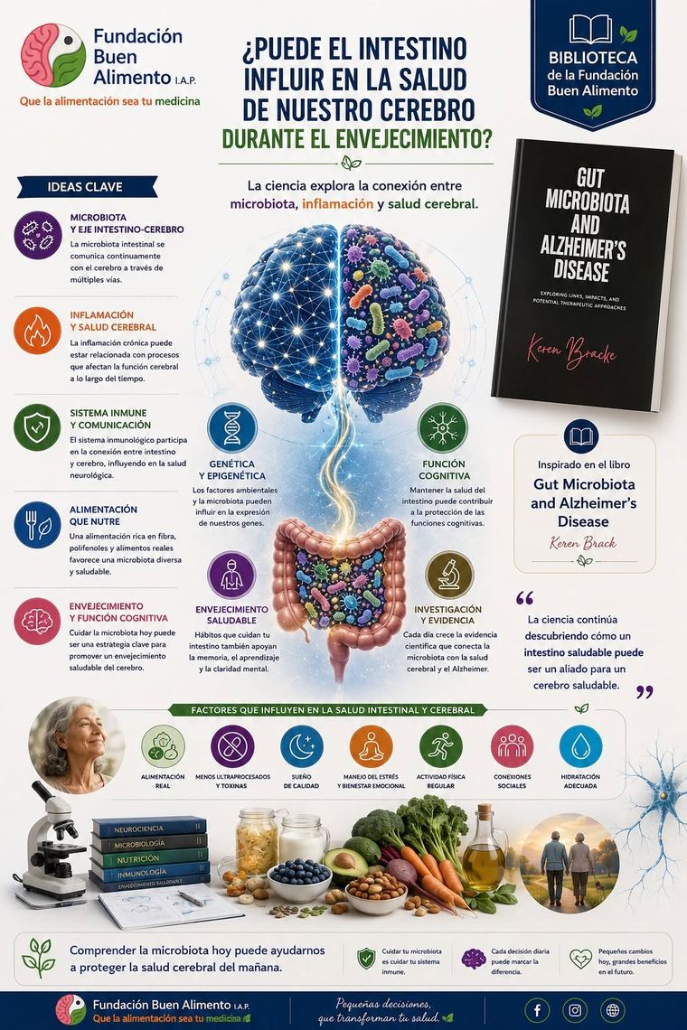 Infografía inspirada en el libro Gut Microbiota and Alzheimer's Disease de Keren Brack