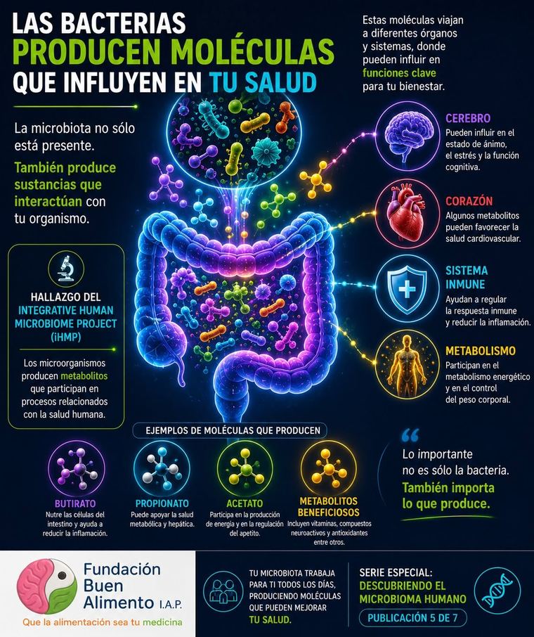 Infografía: Las bacterias producen moléculas que influyen en tu salud