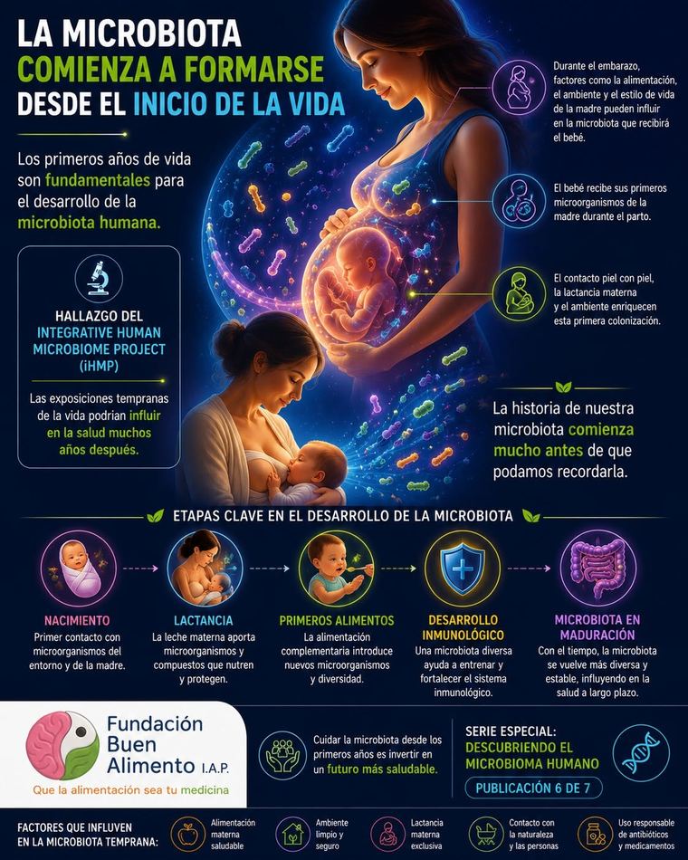 Infografía: La microbiota comienza a formarse desde el inicio de la vida