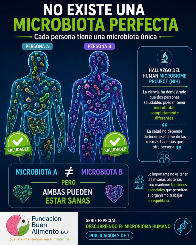 Infografía: No existe una microbiota perfecta