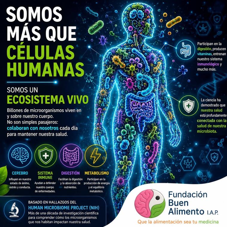 Infografía: Somos más que células humanas